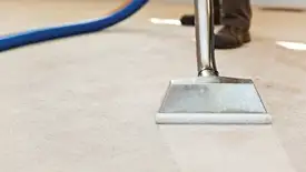 Carpet cleaning wand head gliding over a light carpet during hot-water extraction, Boulder, CO.